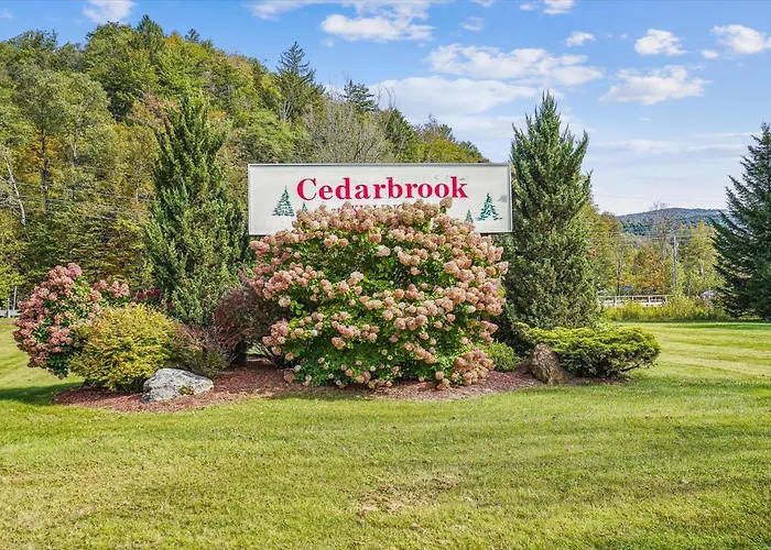 105 Cedarbrook Hotel Room